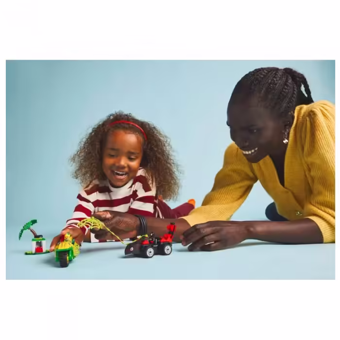 Constructor Lego 11198 - 2