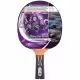 Paleta p/u tenis de masa Donic Top Team 800