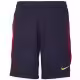 Sorti Nike PSG M NK DF STRK SHORT KZ