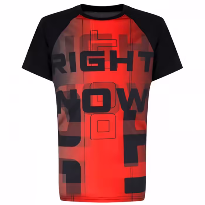 Футболка Demix Train B Tee