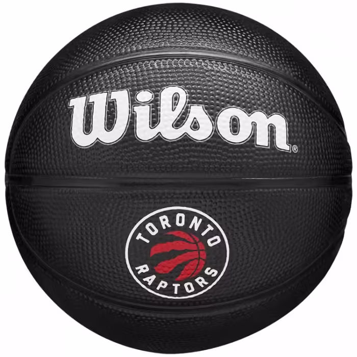 Minge basket Wilson TORONTO RAPTORS Mini