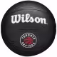 Minge basket Wilson TORONTO RAPTORS Mini