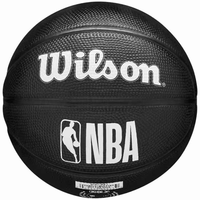 Minge basket Wilson TORONTO RAPTORS Mini - 2