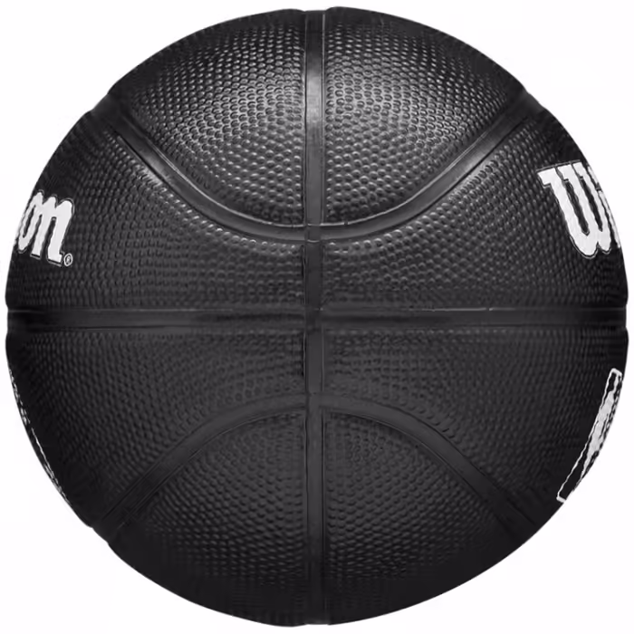 Minge basket Wilson TORONTO RAPTORS Mini - 3