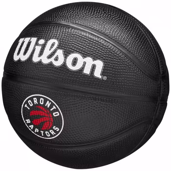 Minge basket Wilson TORONTO RAPTORS Mini - 4