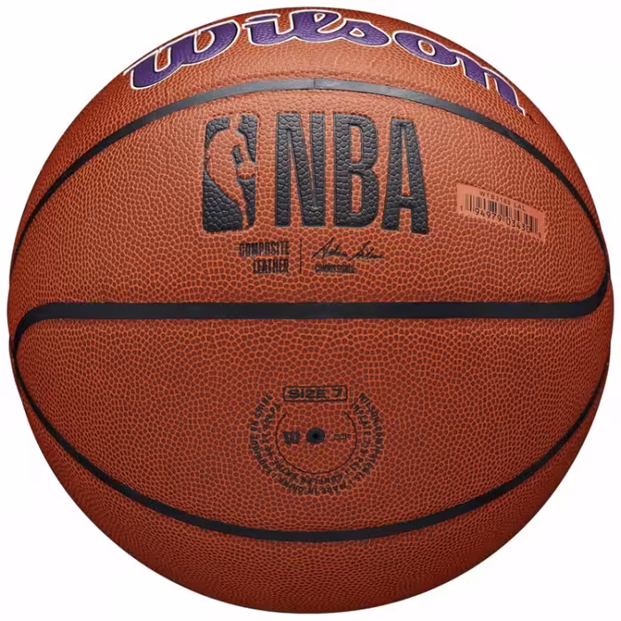 Minge basket Wilson NBA TEAM ALLIANCE BSKT LA LAKERS 7 - 5