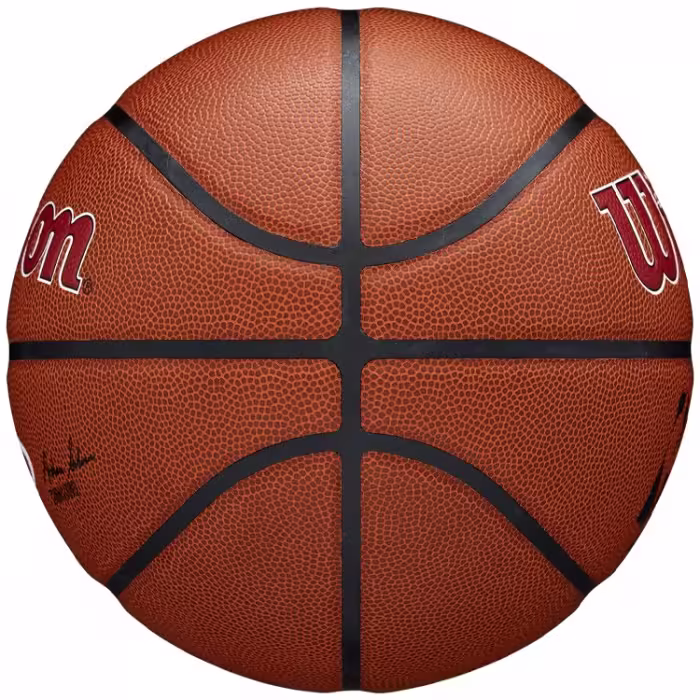 Minge basket Wilson NBA TEAM ALLIANCE BSKT MIA HEAT 7 - 3