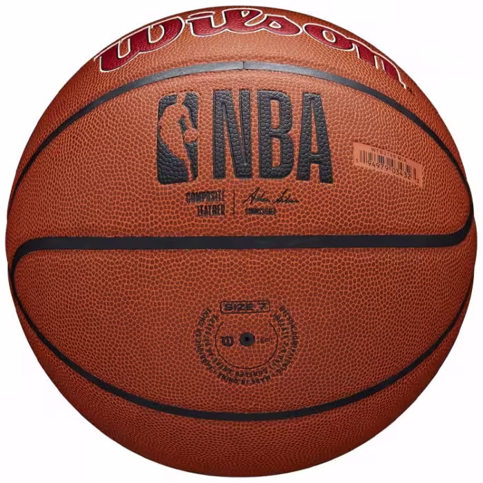 Minge basket Wilson NBA TEAM ALLIANCE BSKT MIA HEAT 7 - 5