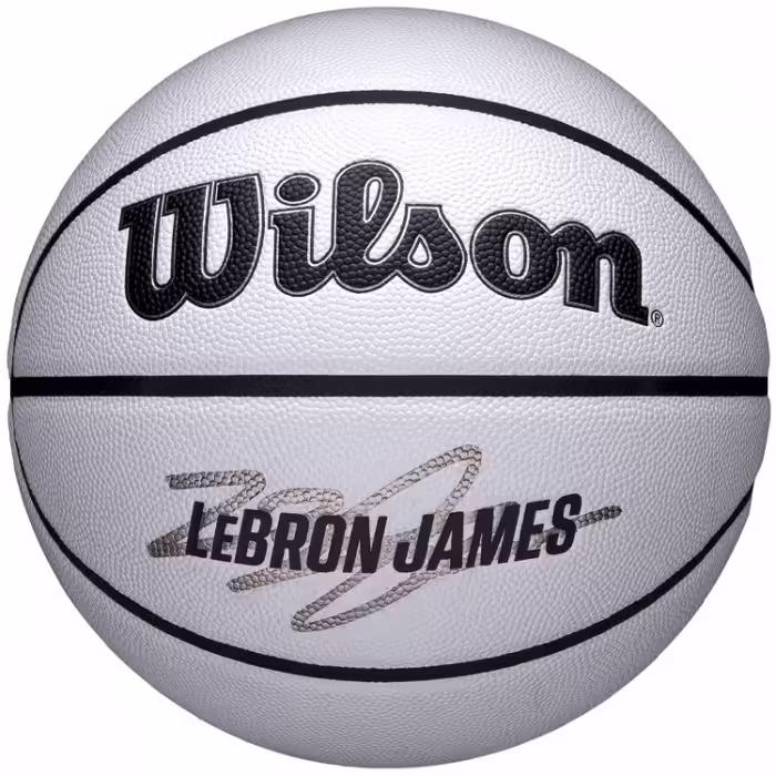 Minge basket Wilson NBA PLAYER ICON UV BSKT LEBRON 7