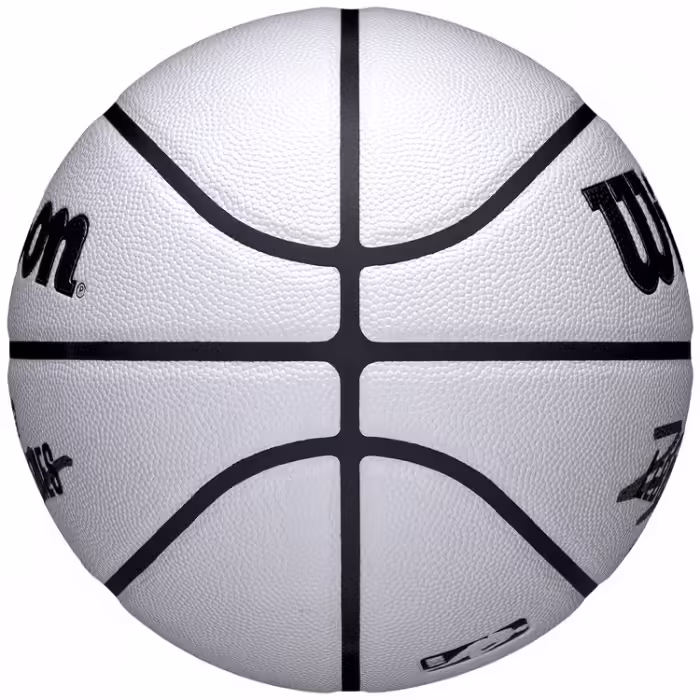 Minge basket Wilson NBA PLAYER ICON UV BSKT LEBRON 7 - 3