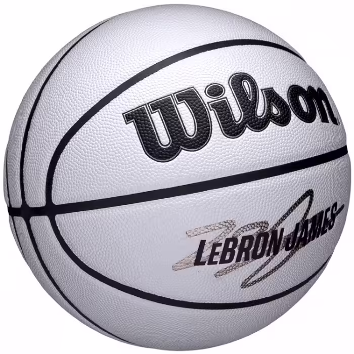 Minge basket Wilson NBA PLAYER ICON UV BSKT LEBRON 7 - 4