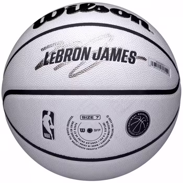 Minge basket Wilson NBA PLAYER ICON UV BSKT LEBRON 7 - 5