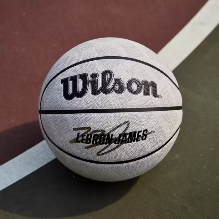 Minge basket Wilson NBA PLAYER ICON UV BSKT LEBRON 7 - 6