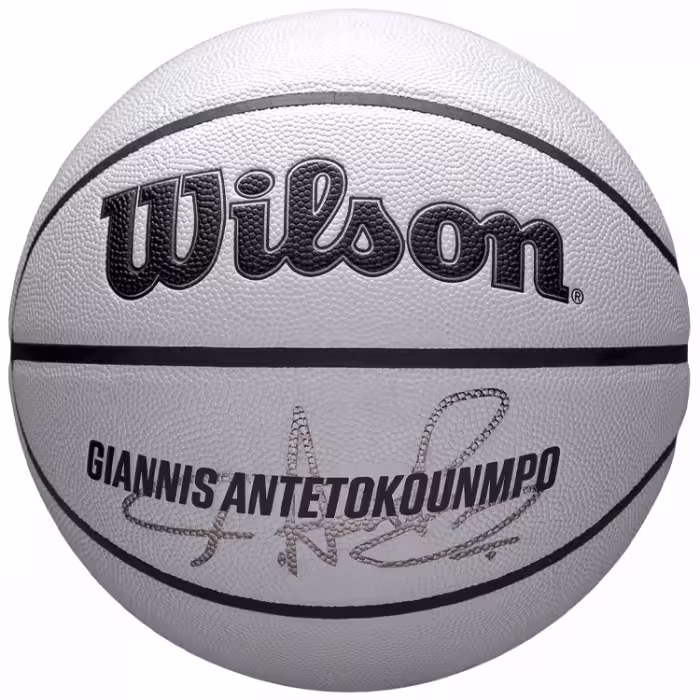 Minge basket Wilson NBA PLAYER ICON UV BSKT GIANNIS 7