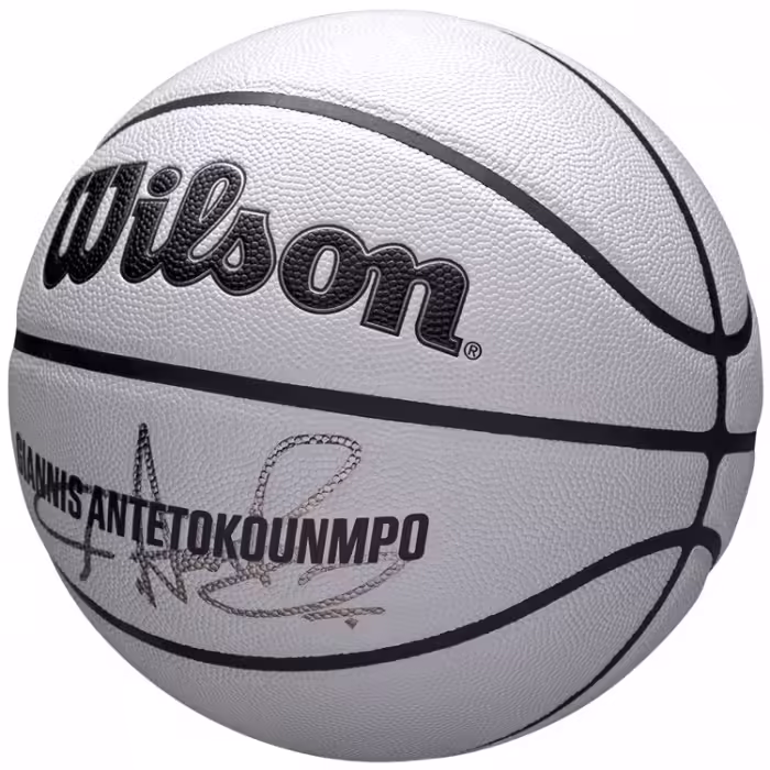 Minge basket Wilson NBA PLAYER ICON UV BSKT GIANNIS 7 - 2
