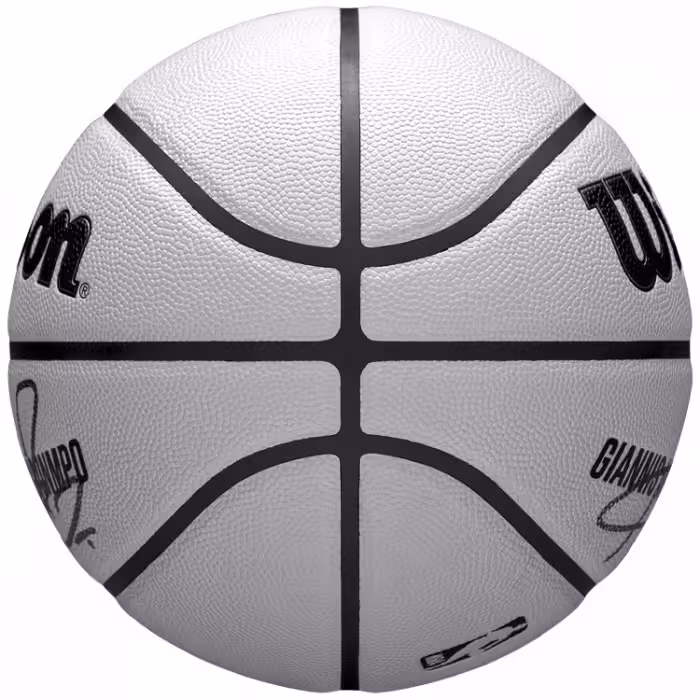 Minge basket Wilson NBA PLAYER ICON UV BSKT GIANNIS 7 - 3