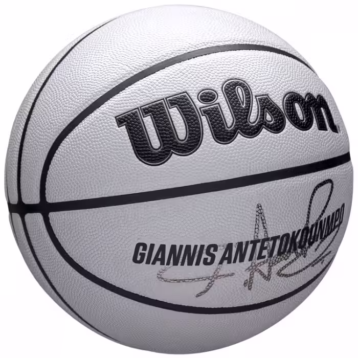 Minge basket Wilson NBA PLAYER ICON UV BSKT GIANNIS 7 - 4