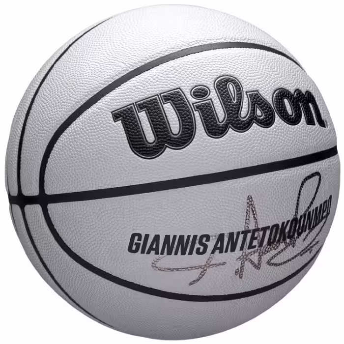 Minge basket Wilson NBA PLAYER ICON UV BSKT GIANNIS 7 - 6