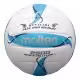 Мяч волейбольный Molten Volley ball