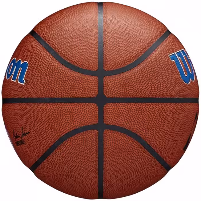 Minge baschet Wilson NBA Alliance Detroit Pistons - 3