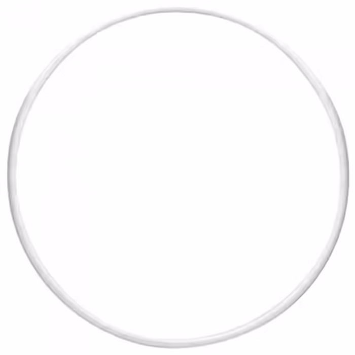 Обруч гимнастический Grace Dance Gymnastic hoop PASTORELLI - 3