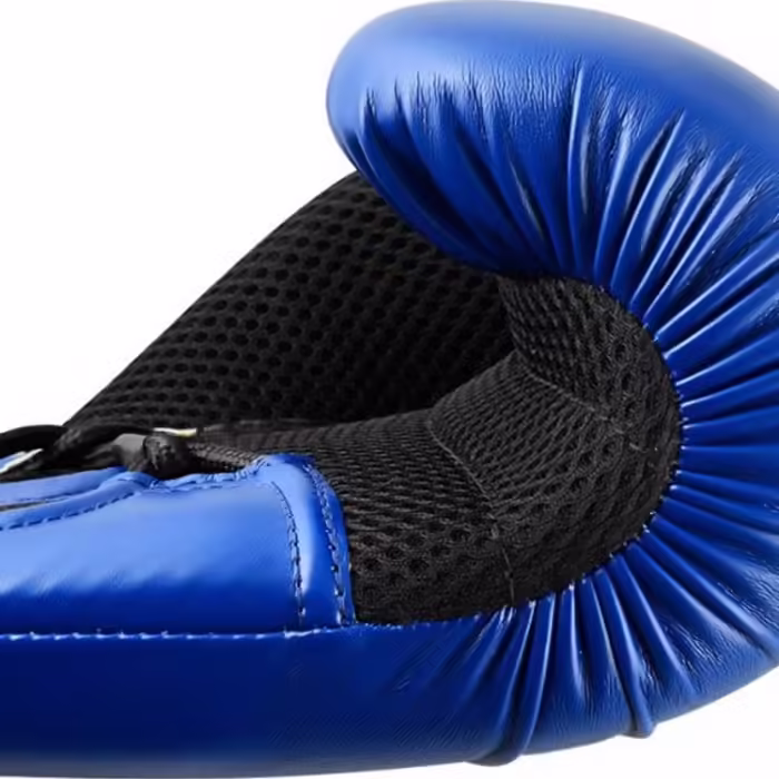 Manusi pentru box Adidas Combat Hybrid 250 - 2