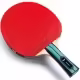 Paleta tenis de masa Butterfly TEAM BUTTERFLY ADVANCE