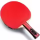 Paleta tenis de masa Butterfly TEAM BUTTERFLY CHAMPION 
