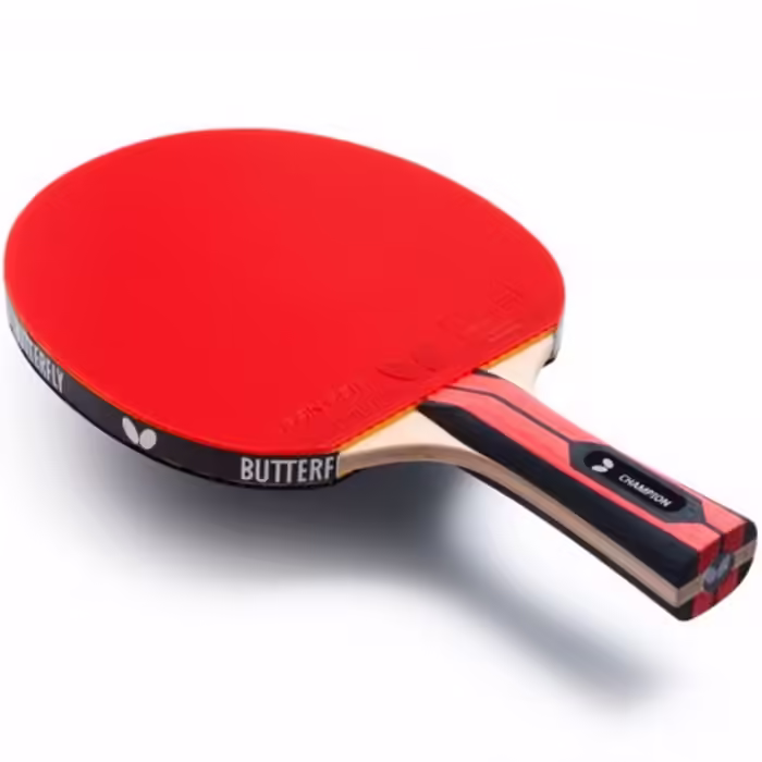 Paleta tenis de masa Butterfly TEAM BUTTERFLY CHAMPION  - 2