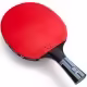 Paleta tenis de masa Butterfly TIMO BOLL PROGRESS