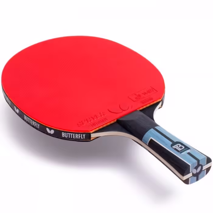Paleta tenis de masa Butterfly TIMO BOLL PROGRESS - 2