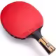 Paleta tenis de masa Butterfly TIMO BOLL FORCE 