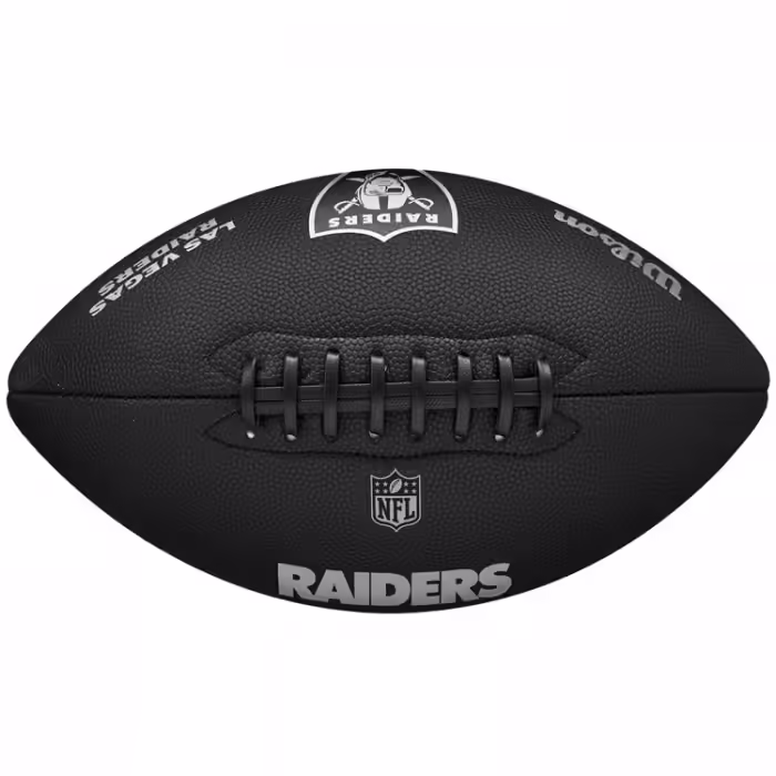 Мяч для регби Wilson NFL BACKYARD LEGEND BLACK LV OF - 2