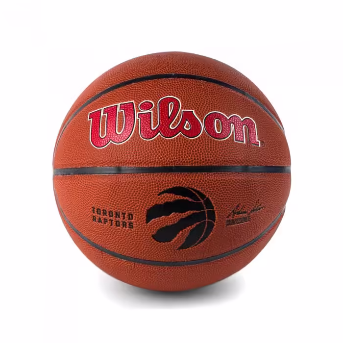 Minge baschet Wilson NBA Team Alliance Tor Raptors