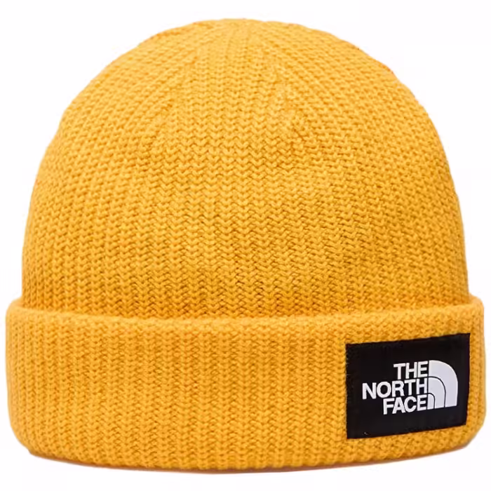 Шапка The North Face SALTY LINED BEANIE