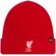 Шапка 47 Brand EPL Liverpool FC