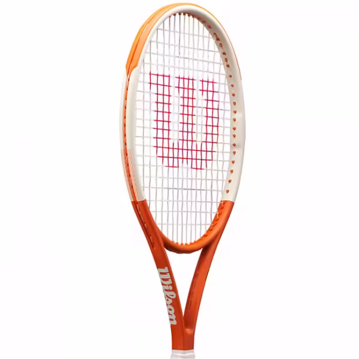 Ракетка для большого тенниса Wilson ROLAND GARROS TEAM 102 - 2