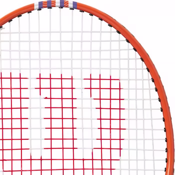 Paleta pentru badminton Wilson TOUR 30 BMTN - 4