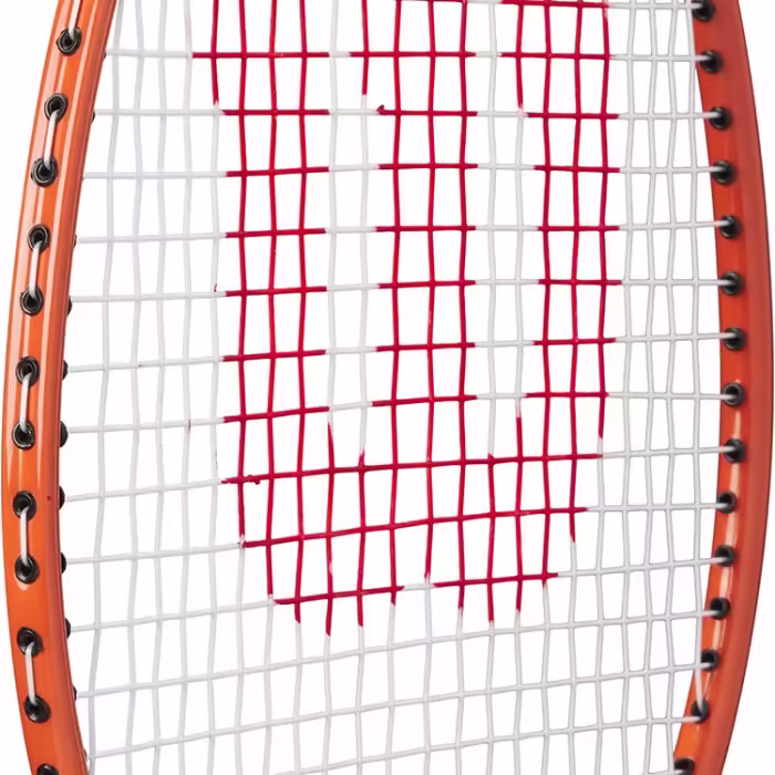 Paleta pentru badminton Wilson TOUR 30 BMTN - 5