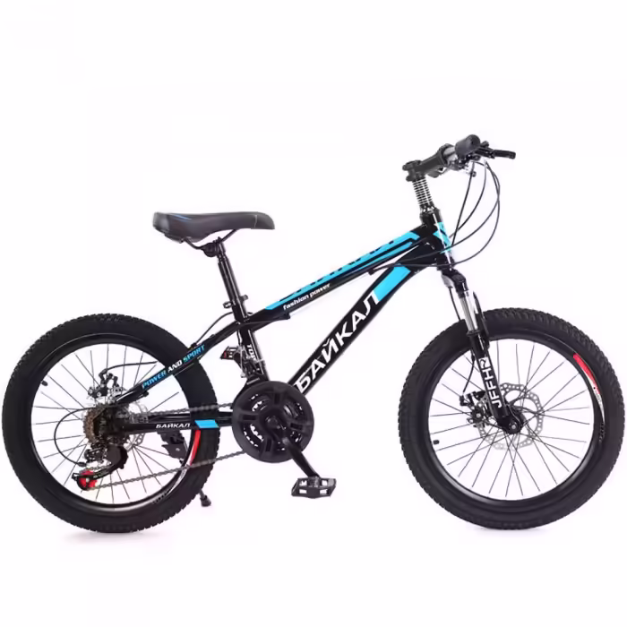 Bicicleta p/u copii Baikal BK20Blue