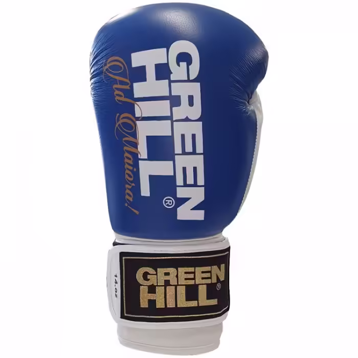 Перчатки для бокса Green Hill LEGEND - 3