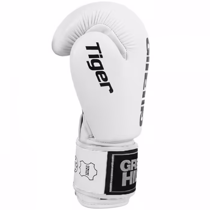 Перчатки для бокса Green Hill TIGER AIBA - 6