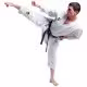 Кимоно для карате 230г/м2 Green Hill KARATE SUIT KUMITE