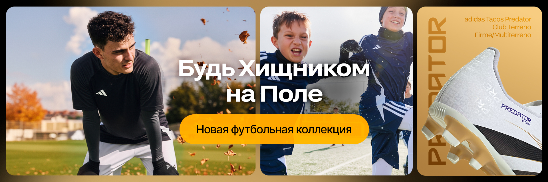 Баннер №10