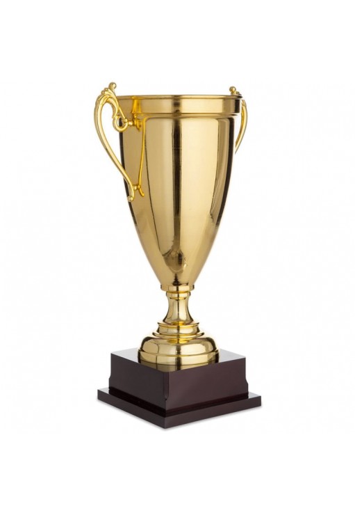 Кубок HAOYUNQI Trophy