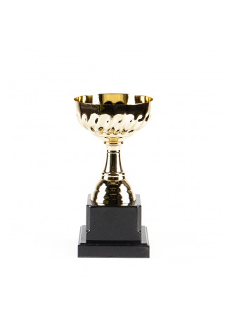 Кубок HAOYUNQI Gold Cup