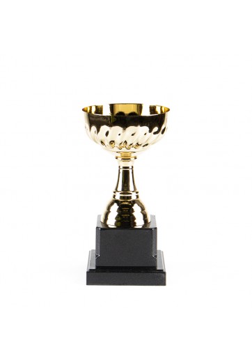 Cupe HAOYUNQI Gold Cup