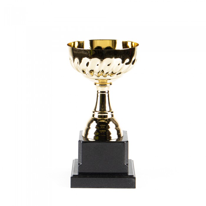 Кубок HAOYUNQI Gold Cup JB-001-2
