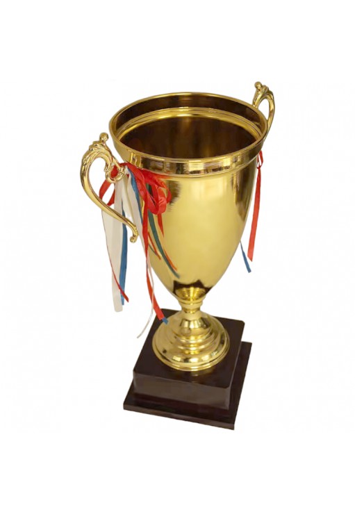 Кубок HAOYUNQI Trophy