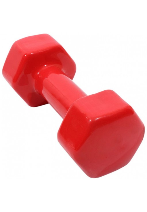 Gantera 6 kg SILAPRO Ganter